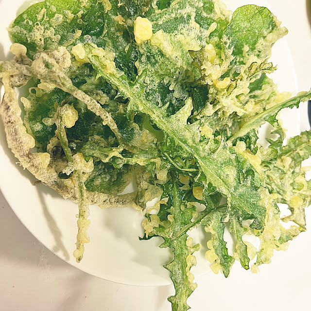 SquarePantsさんの部屋