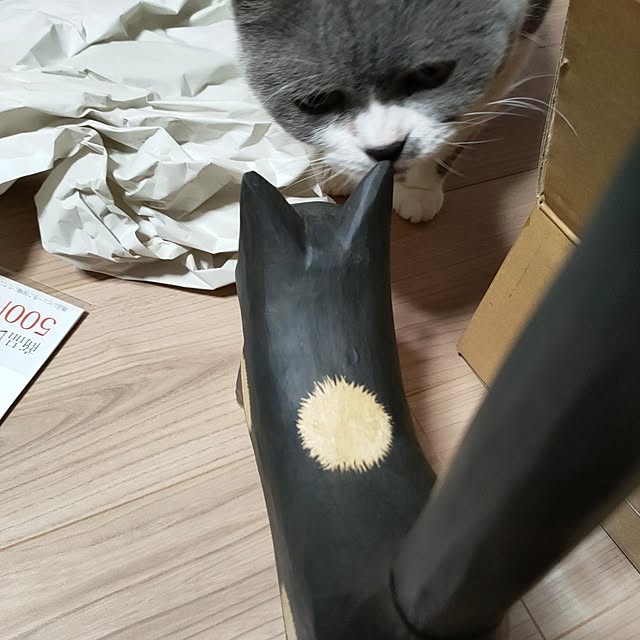 KEIKOさんの部屋