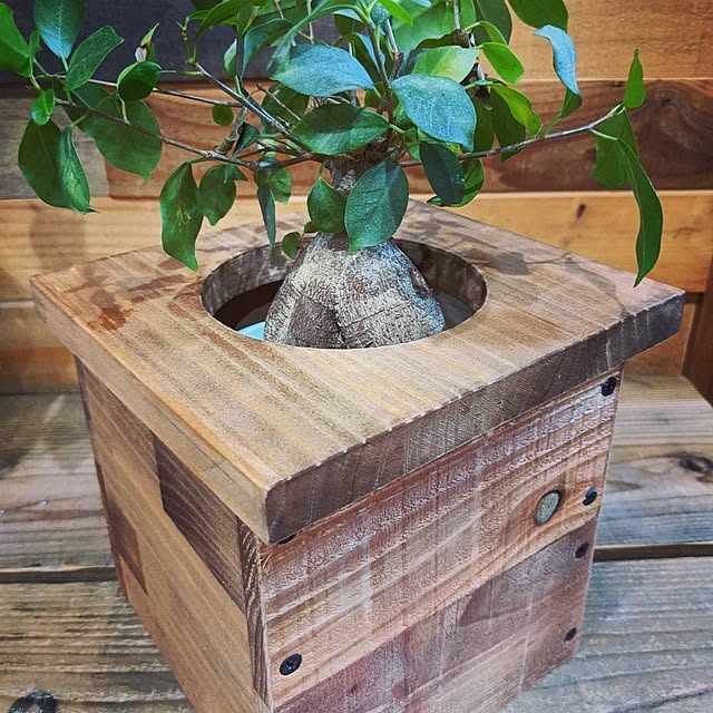 woodeeさんの実例写真