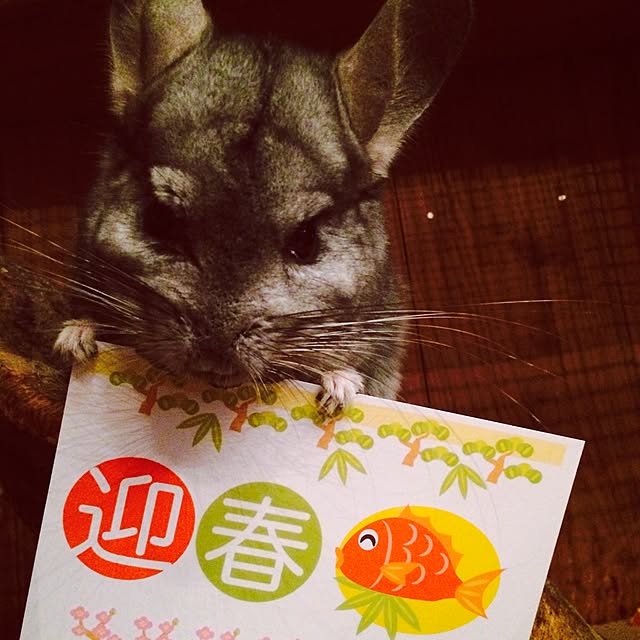 otomatuさんの実例写真