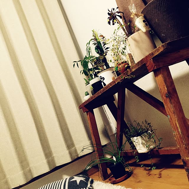 chanさんの実例写真