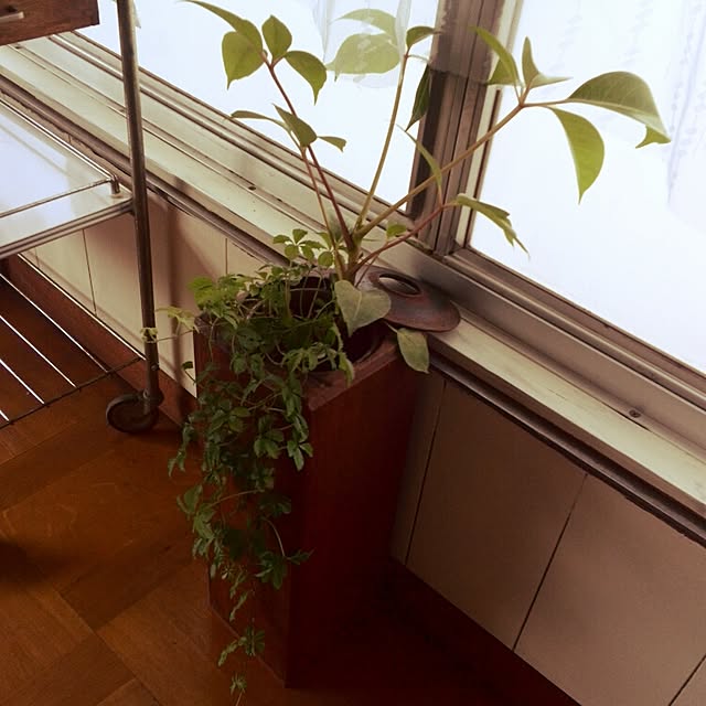mamezoさんの実例写真