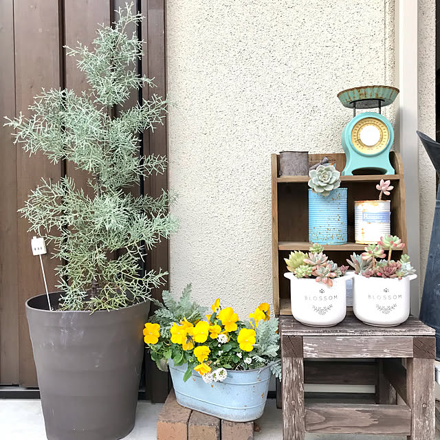 akkoさんの実例写真