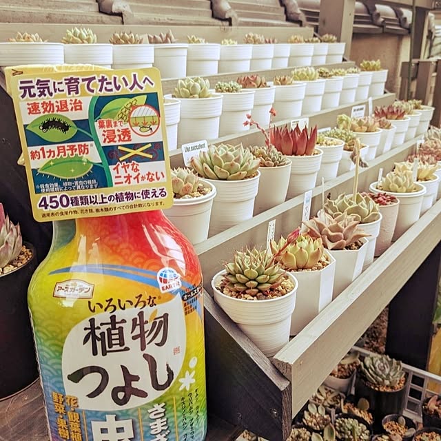 SYさんの部屋