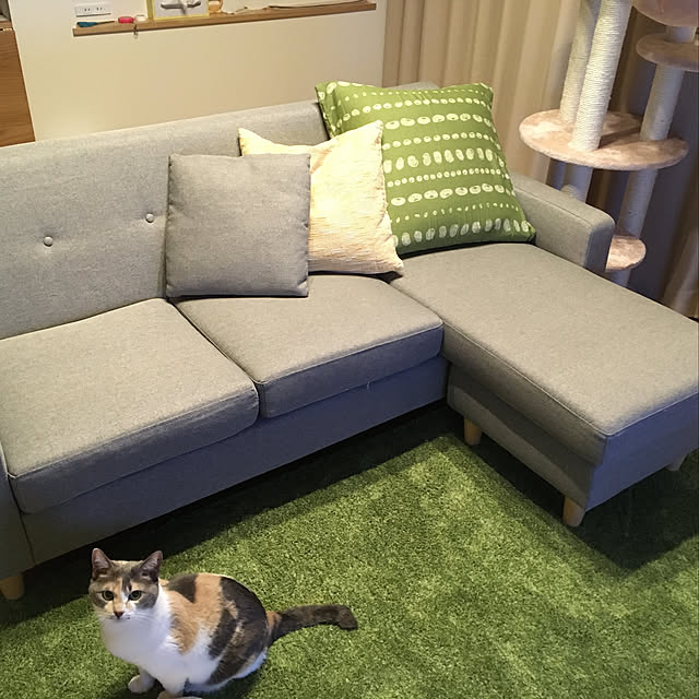 temanekoさんの実例写真