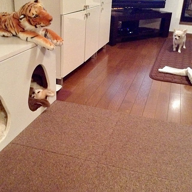実例写真