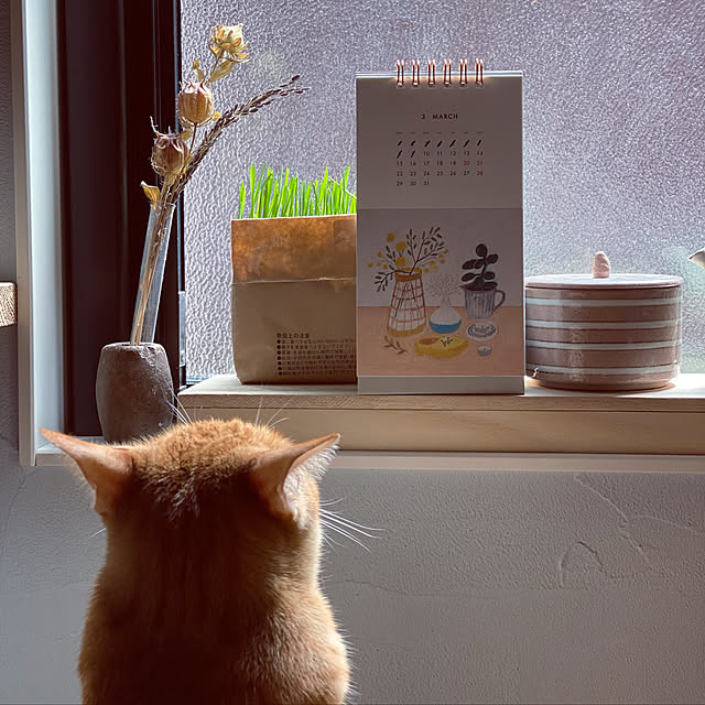 takakoさんの実例写真
