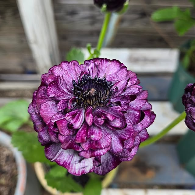 min_nimさんの部屋