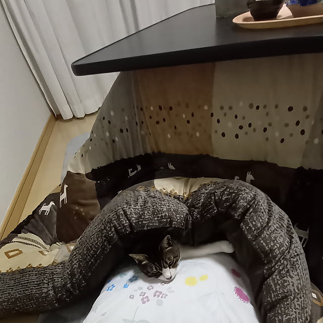 civicglさんの実例写真