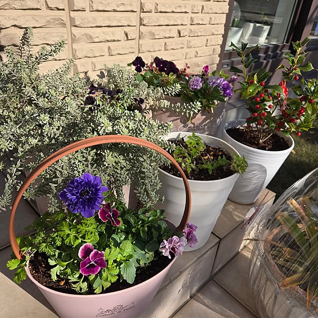 mutyukingさんの実例写真