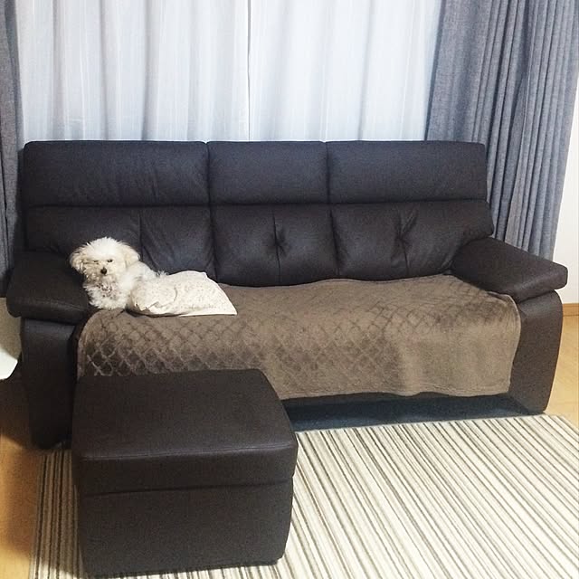 nishyringoさんの実例写真
