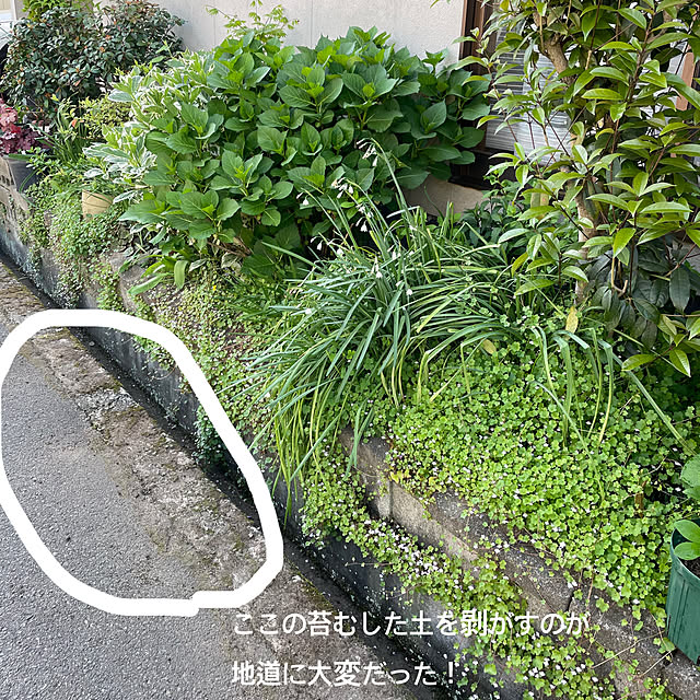 buchiさんの部屋