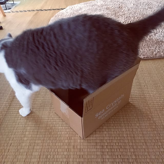 rhuさんの実例写真