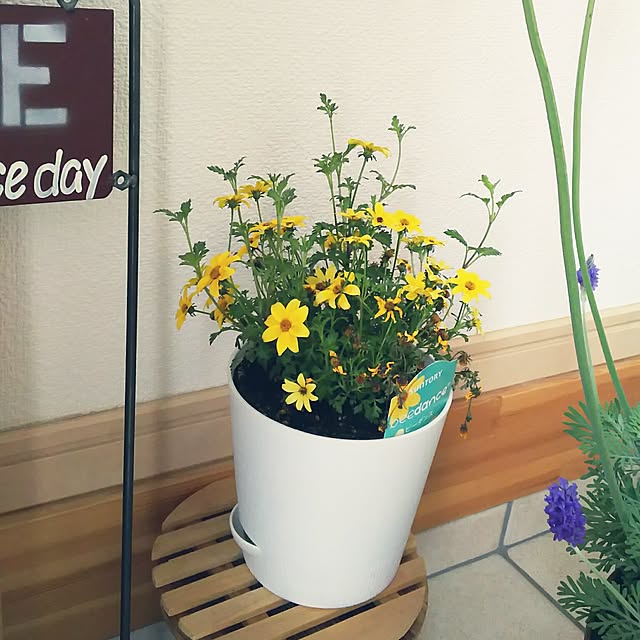 KOHAKUさんの実例写真