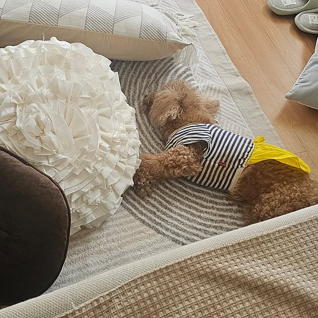 Miri.さんの実例写真