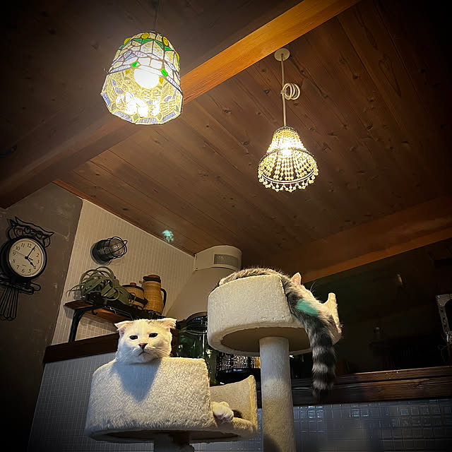 marusanさんの部屋