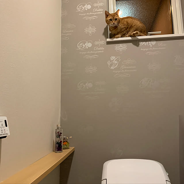 mikeume7さんの実例写真