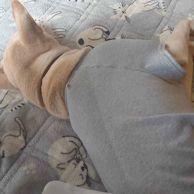 bonさんの実例写真