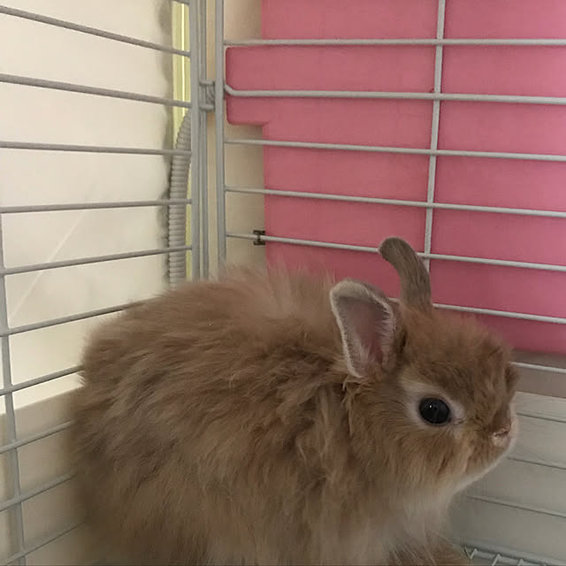 mさんの実例写真