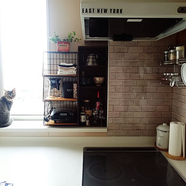 mono_plantさんの実例写真