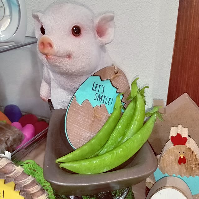 mocomocoさんの部屋
