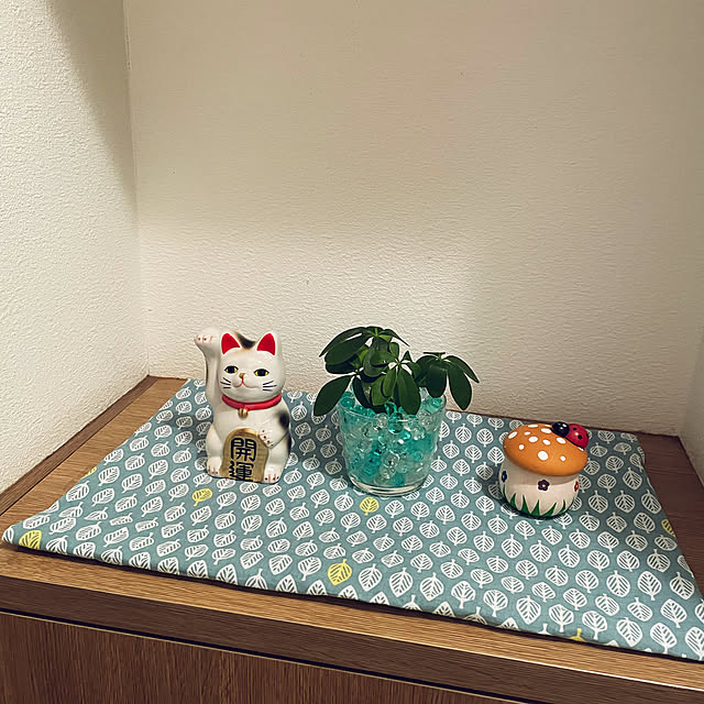mogwaiさんの実例写真