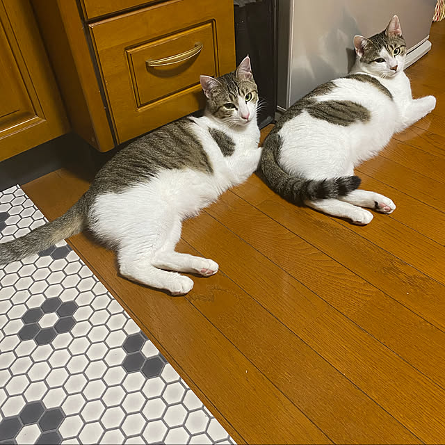 Lufuさんの実例写真
