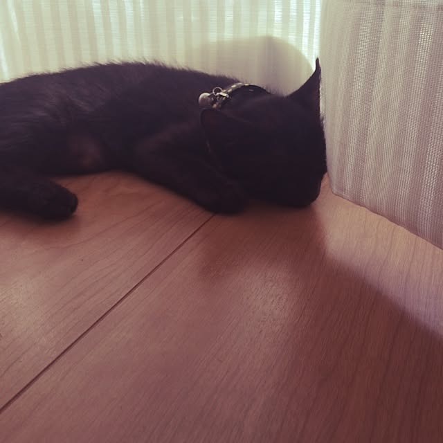 taeさんの実例写真