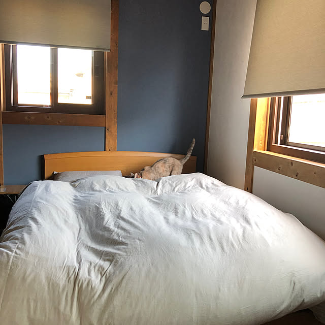 PU930さんの実例写真