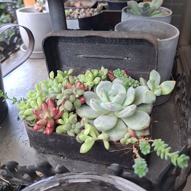 noaさんの実例写真