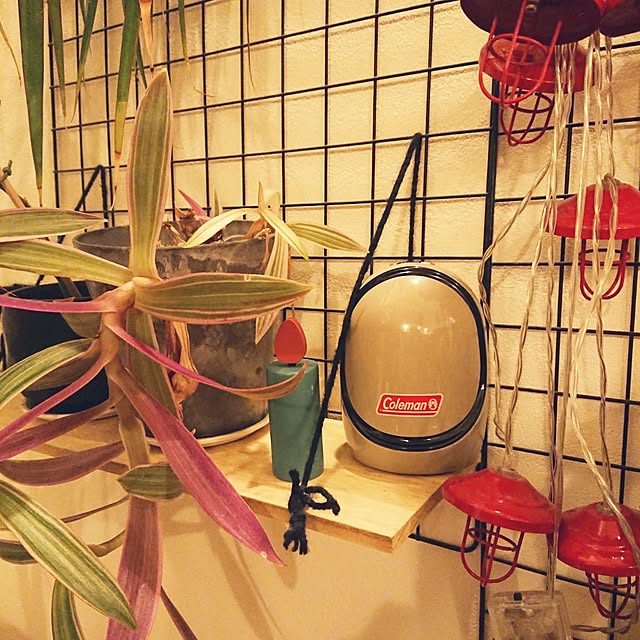 urchinさんの部屋