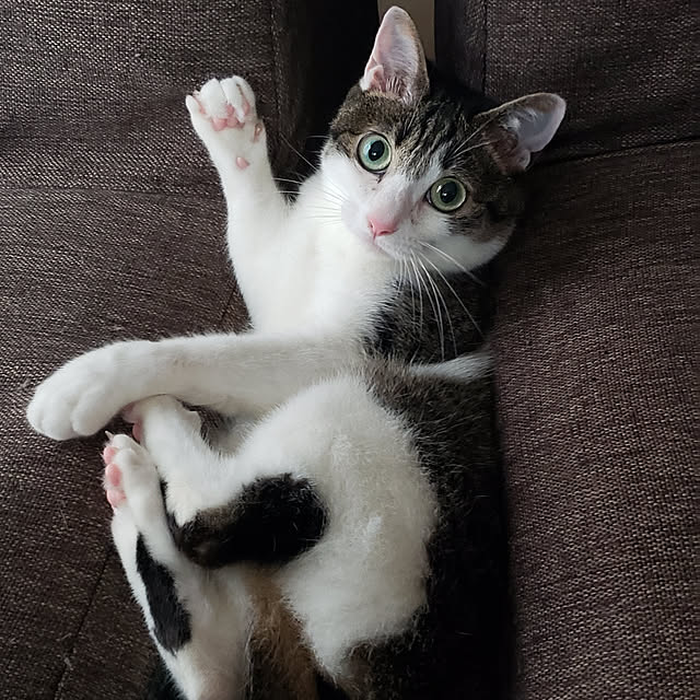 kiraさんの実例写真