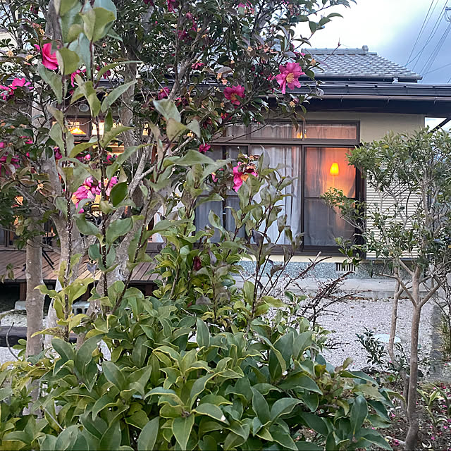 nanaさんの実例写真