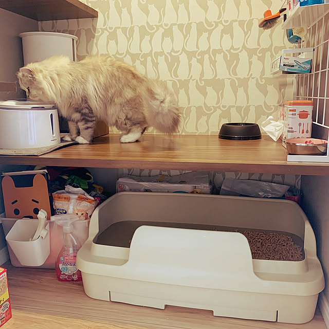akimamさんの実例写真