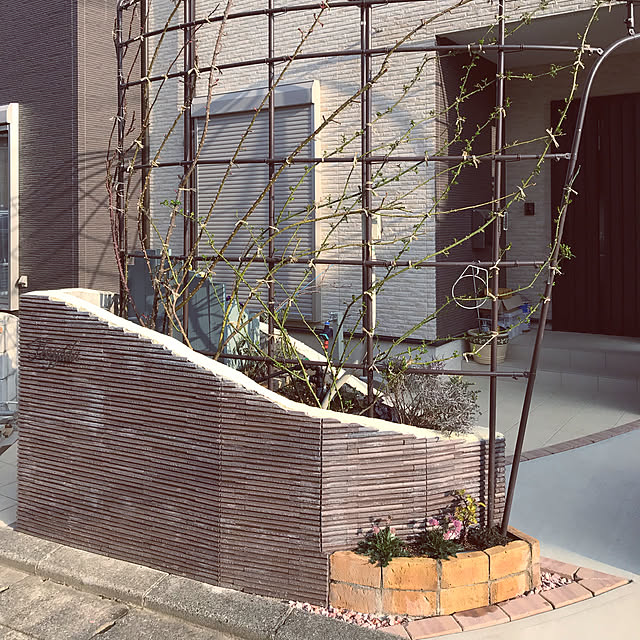 ROSAm2214さんの実例写真