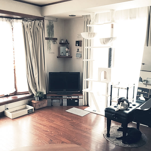 mahi1101さんの実例写真