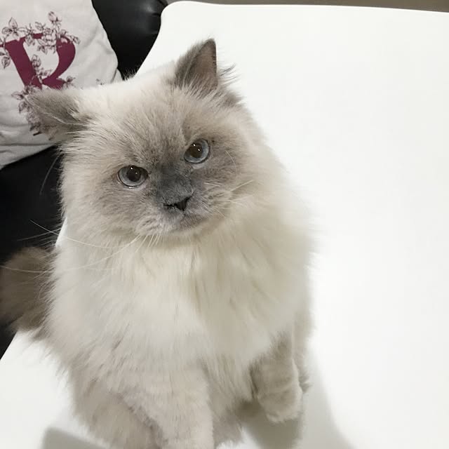 yuchiさんの実例写真