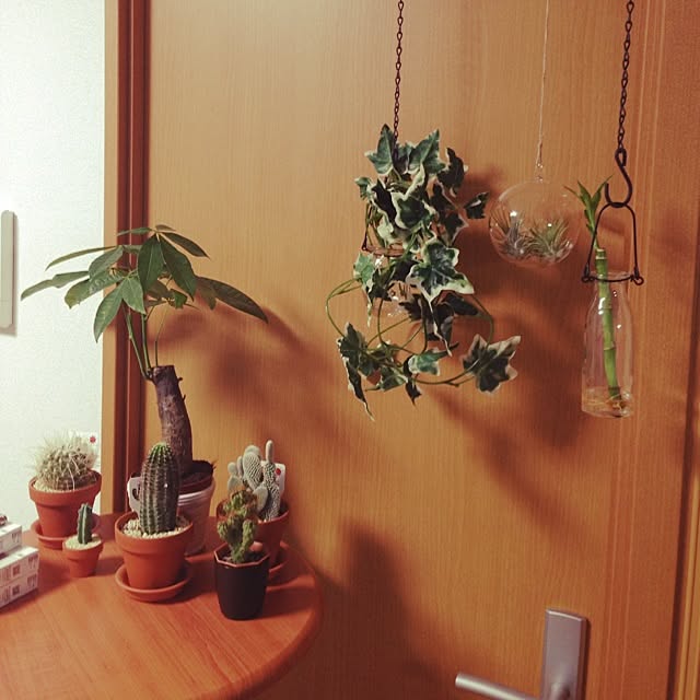 Takeさんの実例写真