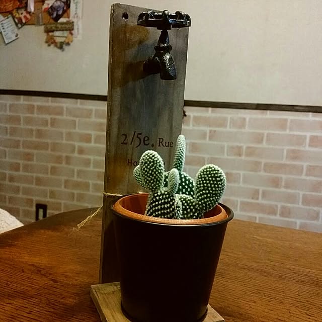 kimyonttiさんの実例写真