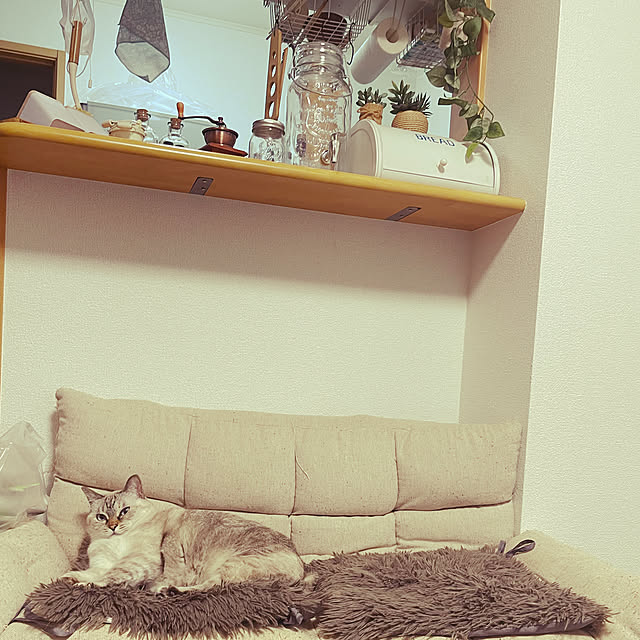 Ny77Coronさんの実例写真