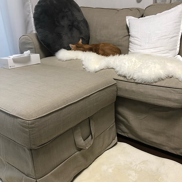 Atelier.mさんの実例写真