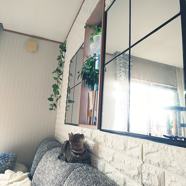 uutann320mozukuさんの実例写真