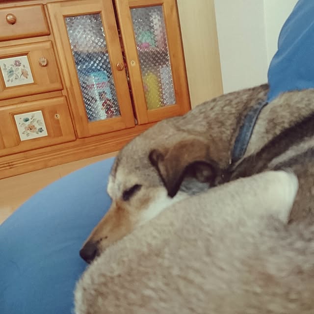 andさんの実例写真