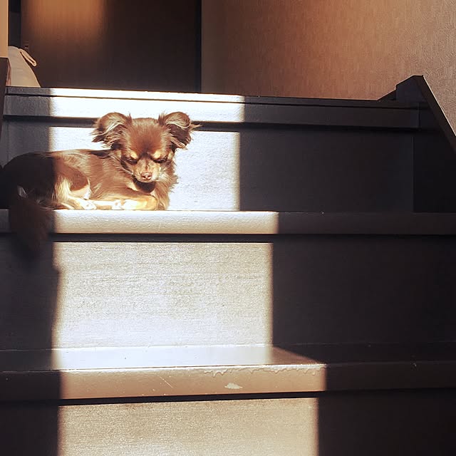 takaさんの実例写真