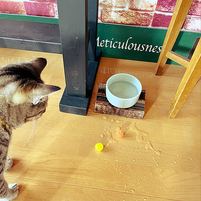 Mさんの実例写真