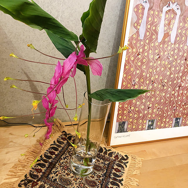 shiroさんの実例写真