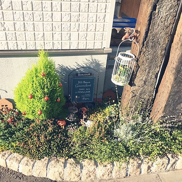 candyさんの実例写真