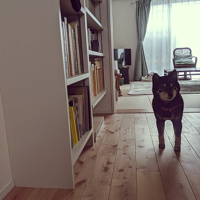 mimi6262さんの実例写真