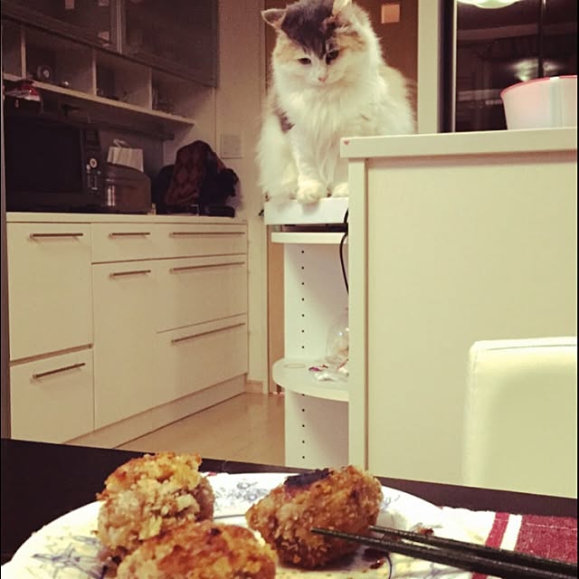 6さんの実例写真