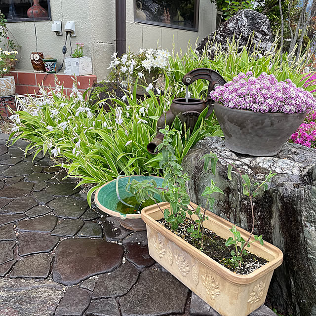 shin0719さんの実例写真